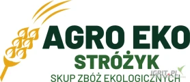 Kupię gorczycę ekologiczną ilości samochodowe CAŁA POLSKA zapraszam do kontaktu 609557276 www.skupagroeko.pl