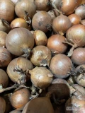 Oferujemy polską cebulę w dobrej kondycji przygotowną do workowania lub do pakowania w karton. 