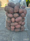 Sprzedam ziemniaki jadalne duże zdrowe odmiana rykardo pakowane w worki 15kg mam 1 tonę na sprzedaż cena 18zl za worek