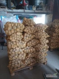 Witam sprzedam ziemniaki odmiana Soraya kaliber 5+ więcej info pod nr tel 502674427