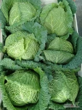 Sprzedam kapustę włoską na sztuki pakowaną w łuszczke po 6 szt ilości paletowe 