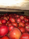 Sprzedam jabłko idaret, prince, golden wszystko w chlodni 