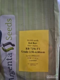 Dzień dobry, odsprzedam nasiona buraka czerwonego RB 7256 F1 (Argenta)16 opakowan po 50000szt 