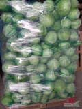 Sprzedam kapustę białą 1-4kg ilości paletowe.