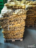 Sprzedam ziemniaki jadalne odmiany Soraya, kaliber 45+, ilości tirowe 