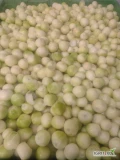 Sprzedam cebulę obieraną na biało. Dziennie obieramy około 5000 kg. Posiadamy własny transport chłodniczy. Mile widziana stała...