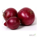 45+mm New Harvest fresh onions for sale at farmers price