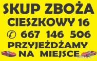 Kupię kukurydzę mokrą w cenie 450zł brutto Cieszkowy 16 ; 25-506 Czarnocin 667146506
