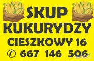 Skup kukurydzy mokrej. Cieszkowy 16 28-506 Czarnocin 