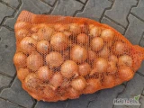 Sprzedam cebulę kal. 4.5 +worek 10kg. 