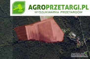 Przetarg na dzierżawę 39,46 ha gruntu rolnego na czas nieokreślony – RII, RIIIb, RIVa, RIVb, RV, ŁIV, PsIV, PsV, PsVI
