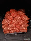 Sprzedam cebulę odmiana Hybelle, kaliber od 5 do 8. Nie fazerowana. W worku lenko 15 kg ilości busowe. Cena w worku 0,80 zł za 1 kg. 