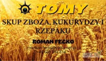 Witam kupie zboża, kukurydzę oraz rzepak ilości samochodowe szybki odbiór, krutkie terminy płatności