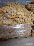Sprzedam ziemniaki odmiany SORAYA,sortowane od 5+ ,ziemniaki zdrowe i z jasnej,worek 15 kg. Więcej informacji udzielę telefonicznie. 