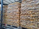 Sprzedam tirowe ilości ziemniaka w worku szytym 10kg po szczotkach.