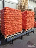 Sprzedam cebulę żółtą i czerwoną. Cebula sortowana na frakcje pod zamówienie, szykowana w jakości pod markety.
