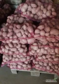 Sprzedam ziemniaki jadalne red Sonia ok 100workow i Soraya ok worków 