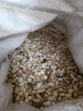 Sprzedam odpady z fasoli nadające się na opał, jako pasza dla Bydła, pakowane w big bagi. Ilości calosamochodowe