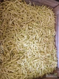 Sprzedam 1000 kg fasoli szparagowej golden goal, swiezy zbiór 
