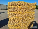 Sprzedam ziemniaki 2500 ton, żółte i czerwone, worek szyty 5,10,15 kg. lub big-bag. kaliber do uzgodnienia : 4+ 4,5+ 5+ 5,5+ 6+ jakość...
