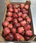 Sprzedam jabłko Red Cap 75+  w karton luz 13kg na gotowo ilość 20t