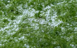 Masz problem z ubezpieczeniem - pomoże Rzecznik Finansowy