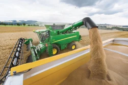 Krok po kroku: Obietnica żniwna