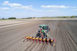 Wstępne podsumowanie siewów kukurydzy