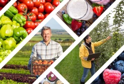 Polska na 22 miejscu w Globalnym Indeksie Bezpieczeństwa Żywnościowego