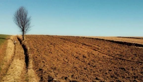 Rząd Niemiec chce zakazu stosowania glifosatu od 2024 r.