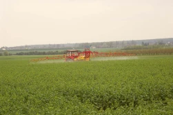 PIORiN przypomina: jak bezpiecznie stosować środki ochrony roślin?