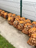 Sprzedam Ziemniaki bellarosa na oborniku . 
