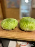 Sprzedam kapustę płaską odmiana Green Lunar
