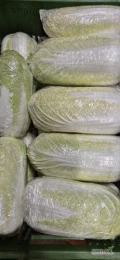 Sprzedam kapustę pekinską w ilości kilku ton, 1,5 - 2,0 kg, pakowana w folie bądź luzem. 