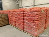 Sprzedam cebule na wysadkę, nie fazorowana, kaliber 40/50, odmiana Sedona, ostatnie 9180kg, spakowane w worek 10kg