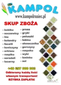 Kupię: JĘCZMIEŃ paszowy i konsumcyjny. Każda ilość, najlepiej całosamochodowe, z dostawą do 97-438 Rusiec lub szybki odbiór na...
