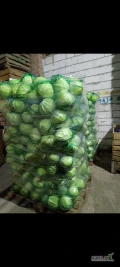 Sprzedam kapustę białą worek 20 kg ładna czysta możliwość transportu 