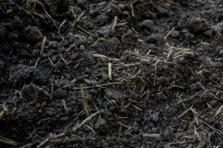 Tajemnice gleby napędzają innowacje w ochronie upraw