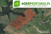 [ZAKOŃCZONE] Przetarg na dzierżawę 28,00 ha gruntu rolnego na 10 lat – RIIIb, RIVa, RV, N
