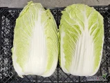 Sprzedam kapustę pekińską. Duża 2kg - 3kg. Owijana lub nie. Opakowanie i cena do ustalenia. Więcej informacji tel 691677622