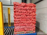 Sprzedam cebulę kaliber 50/70, fazorowana, worek 5,10,15kg, ilości tirowe i paletowe