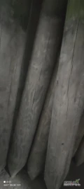 Sprzedam pale drewniane w całości impregnowane pod konstrukcje sadownicze antygradowe w sadach jabłoniowych borowkowych czeresniowych