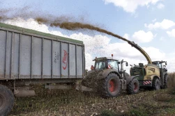 Zrównoważona technologia produkcji kiszonki z kukurydzy