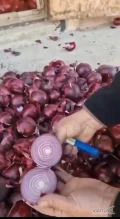 Sprzedam czerwoną cebulę. Kraj pochodzenia: Kazachstan. Kalibr 5+. Ilość: 15 ton +. Zapraszam do kontaktu.