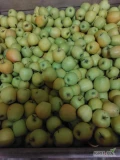 Sprzedam Jabłko Golden 30 skrzyń z KA