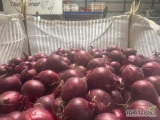 Nowe zbiory, najwyższa jakość, standard eksportowy Świeża cebula