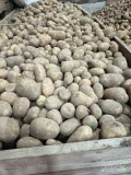 Sprzedam ziemniaki Soraya najlepiej skrzyniopalety,luz cena do uzgodnienia.
