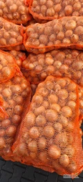 Sprzedam cebulę żółtą kaliber 4.5+ przewaga 6+ cena 1.2 zł za kilogram. Możliwość wystawienia faktury VAT. Możliwość transportu...
