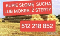 Kupię słomę belki lub duża kostka suchą lub mokrą z sterty 512 218 852 Maków Mazowiecki do 200km