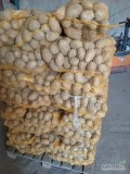 Ziemniaki odmiany Soraya i Melody kalibraż 50+. Ilości tirowe.  Pakowane w worek lub big-bag. 
